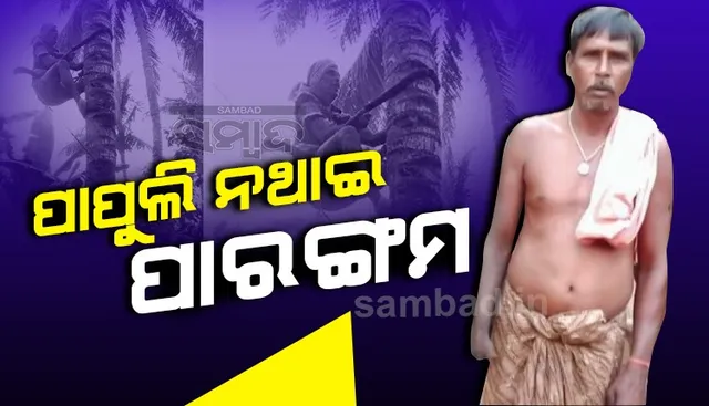 ପାପୁଲି ନଥାଇ ପାରଙ୍ଗମ, ଗୋଟିଏ ହାତରେ କାମ କରି ଚଳାଉଛନ୍ତି ପରିବାର