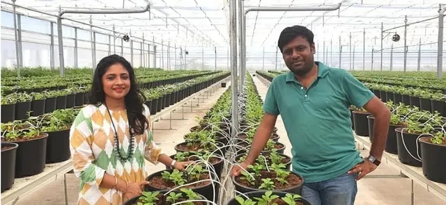 ଚାକିରି ଛାଡ଼ି ନିର୍ମାଣ କଲେ ହାଇଟେକ ଫାର୍ମ, ପ୍ରତିଦିନ ବାହାରୁଛି ୮ ହଜାର କିଲୋ ପରିବା