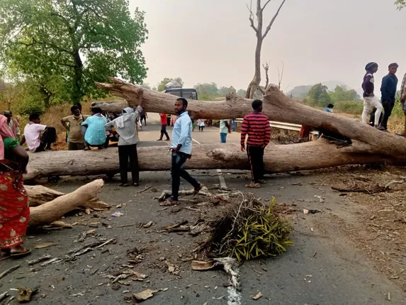 ଗଛ ପଡି ରାସ୍ତା ଅବରୋଧ  