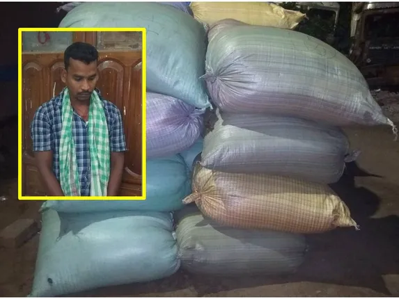 ଗଜପତିରୁ ପୁରୀ ଚାଲାଣ ବେଳେ ବ୍ରହ୍ମପୁରରେ ଧରାହେଲା ୧୬ କୁଇଣ୍ଟାଲ ଗଂଜେଇ