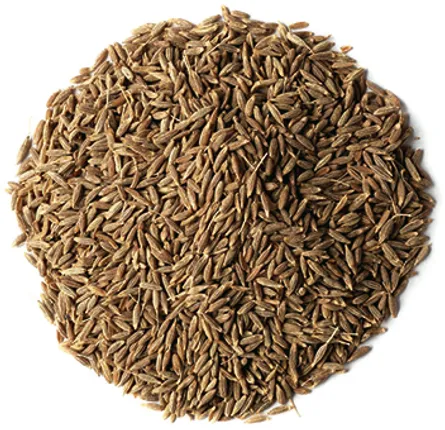 କଥା-ଫରୁଆ : ଜୀରାରୁ ଶିରା କାଢ଼ିବା