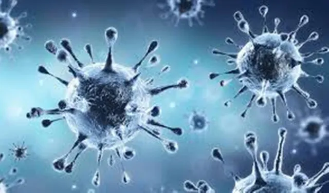 ସୁସ୍ଥ ହେଲେ ୭୬ଜଣ କରୋନା ଆକ୍ରାନ୍ତ