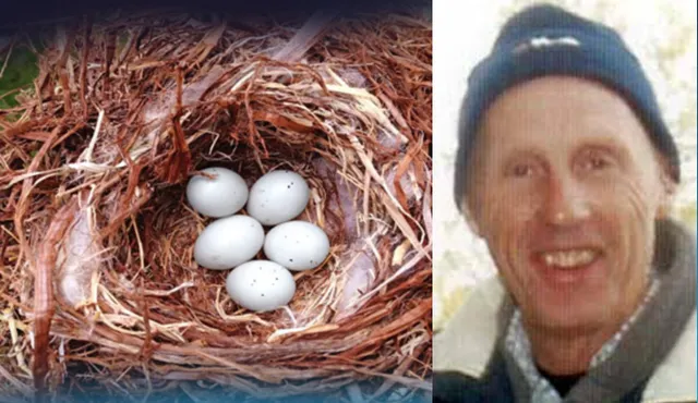 କୁଖ୍ୟାତ ଚଢ଼େଇ ଡିମ୍ବ ଚୋର!