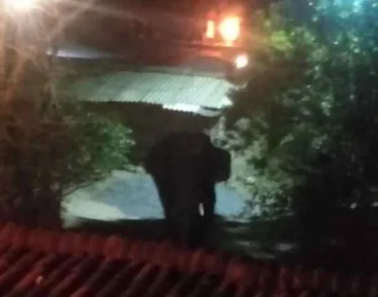 ମୁ‌ଣ୍ଢେରରେ ଦନ୍ତା ଆତଙ୍କ, ୪ ଘର ଭାଙ୍ଗିଲା