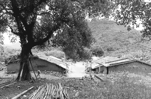 ଜାତି ଯିବାର ଭୟ ଓ ‘ଧାଙ୍ଗଡ଼ୀ ବେଣ୍ଟ’