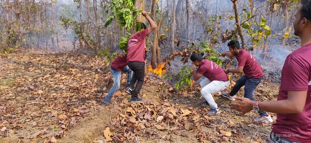 ଶିମିଳିପାଳ ଆଜି ବି ଜଳୁଛି, ନିଆଁ ଲିଭାଇଲେ ବିଶ୍ବବିଦ୍ୟାଳୟ ଛାତ୍ର ଗୋଷ୍ଠୀ