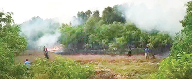 ୩୩ କେଭି ତାର ଛିଡ଼ି ଜଙ୍ଗଲରେ ନିଆଁ, ଜଳୁଛି ଚିଲିକାର ବରହମ୍‌ପୁରା ଜଙ୍ଗଲ