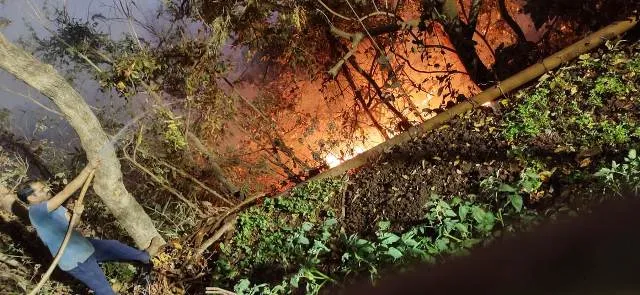 ୨୧୪ଟି ସ୍ଥାନରେ ଜଳୁଛି ଜଙ୍ଗଲ : ବାରିପଦା, ବ୍ରହ୍ମପୁରରେ ସ୍ଥିତି ସଙ୍ଗିନ