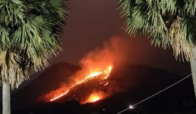 ବୋରିଂପଦର ପାହାଡ଼ରେ ଜଳୁଛି ଜଙ୍ଗଲ; ବନ ବିଭାଗର ଦୃଷ୍ଟି ପଡ଼ୁନି!