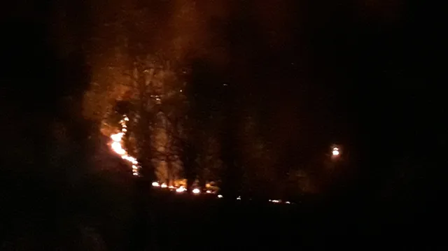 ନିୟନ୍ତ୍ରଣ ବାହାରେ କନ୍ଧମାଳ ଜିଲ୍ଲାର ବନାଗ୍ନି; ଜଙ୍ଗଲରେ ନିଆଁ ଲଗାଉଥିବା ଅଭିଯୋଗରେ ୩ ଗିରଫ