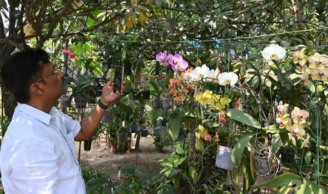 ବାଲଗୋପାଳଙ୍କ ନିଆରା ଫୁଲ ବଗିଚା : ଶୋଭା ପାଉଛି ୩୦୦ ପ୍ରକାର ଅର୍କିଡ ଫୁଲ