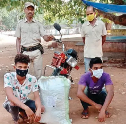 ବାଇକ୍ ସହିତ ଗଞ୍ଜେଇ ଜବତ, ଦୁଇ ଗିରଫ