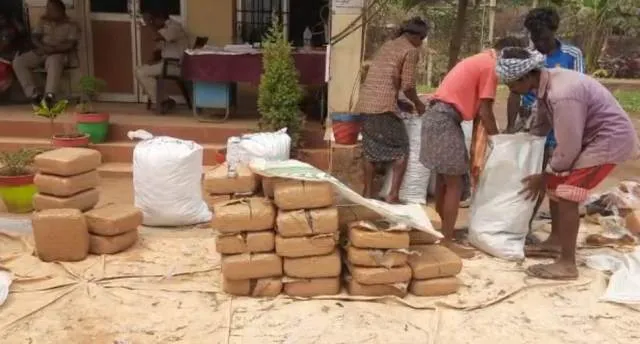 ନାର୍କୋଟିକ୍ସ ବ୍ୟୁରୋ ଗାଡ଼ିକୁ ଧକ୍କା ଦେଇ ଫେରାର୍‌ ଉଦ୍ୟମ; ୨୮୦ କେଜି ଗଞ୍ଜେଇ ସହ ଟ୍ରକ୍‌ ଜବତ, ଜଣେ ଗିରଫ