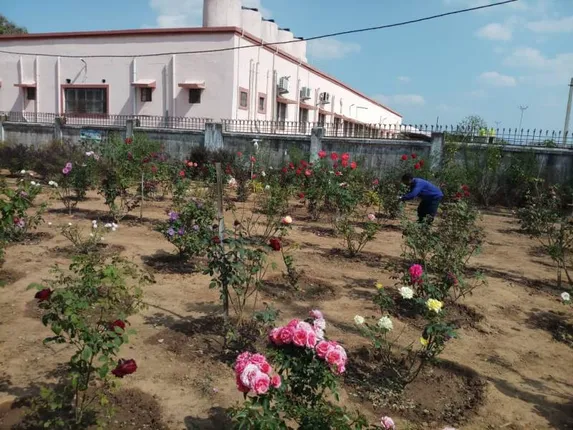 କୋରାପୁଟ ଜିଲ୍ଲା ମୁଖ୍ୟ ଚିକିତ୍ସାଳୟର ପରିବେଶକୁ ବଦଳାଇ ଦେଇଛି ଗୋଲାପ ଓ ଔଷଧୀୟ ବଗିଚା