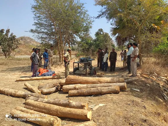 ବନବିଭାଗର ଚଢ଼ଉ : ମେସିନ ସହ ଶାଗୁଆନ କାଠ ଜବତ