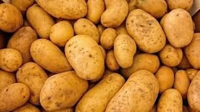 ଚଳିତ ବର୍ଷ ଦେଶରେ ପ୍ରଚୁର ଆଳୁ ଉତ୍ପାଦନ, ଗତ ବର୍ଷ ତୁଳନାରେ ଦର ୫୦% କମିଲା