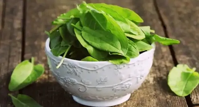 ପ୍ରତିଦିନ ପୋଇ ଖାଇ ଶରୀରକୁ ଏହି ସବୁ ସମସ୍ୟାରୁ ଦୂରରେ ରଖନ୍ତୁ