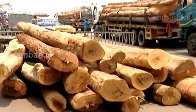 ରଥକାଠ ଅନୁକୂଳ ପୂଜା ପାଇଁ ଶୁଭଦିନ ନିର୍ଘଣ୍ଟ