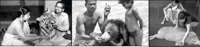 ଖଇରୀ, ରାଣୀ ଓ ଧୁଡୁ- ସ୍ନେହ ନା ଆଇନ!