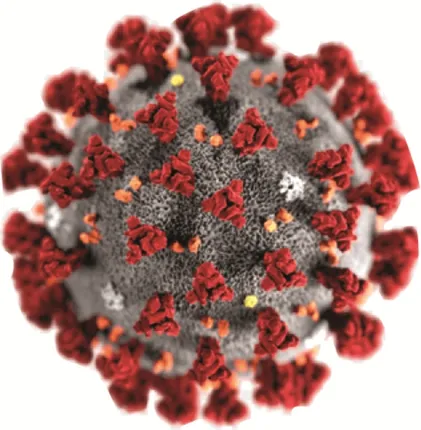 ଜଗତସିଂହପୁର ଜିଲ୍ଲାରେ ମାଡ଼ିଲାଣି; ମୁମ୍ବାଇରୁ ଉଦ୍ଧାର ପ୍ରେମୀଯୁଗଳଙ୍କ ସଂସ୍ପର୍ଶରେ ୩୫ ପୁଲିସ୍‌