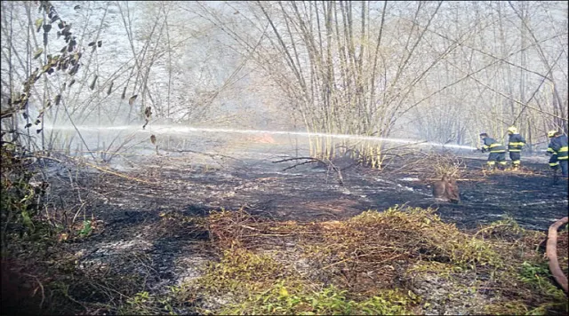 ୨ ସ୍ଥାନରେ ଭୟାବହ ଅଗ୍ନିକାଣ୍ଡ, ଜଳିଗଲା ୩ ଏକର ବାଉଁଶବୁଦା