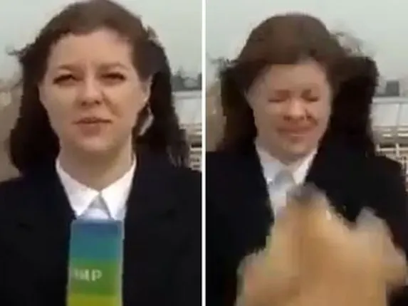 ମଜାଦାର ଦୃଶ୍ୟ: ଲାଇଭ ରିପୋର୍ଟିଂ କରୁଥିବା ବେଳେ ସାମ୍ବାଦିକାଙ୍କ ଠାରୁ ମାଇକ୍ରୋଫୋନ ଛଡ଼ାଇ ନେଲା କୁକୁର