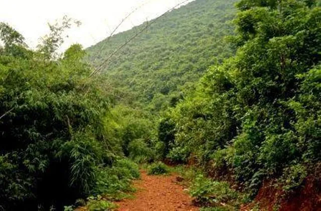 ସ୍ୱତନ୍ତ୍ର ଜିଲ୍ଲା ହେବା ତିନି ଦଶନ୍ଧି ବିତିଲା, ନିର୍ଦ୍ଧାରିତ ହୋଇପାରିଲାନି ନାମ