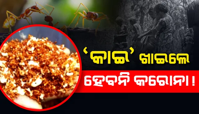 ସ୍ବାଭିମାନ ଅଂଚଳରେ ଆଦିବାସୀଙ୍କ ଅଜବ ବିଶ୍ବାସ! ‘ତୋପେଙ୍ଗା’ ବା ‘କାଇ’ ଖାଇଲେ କରୋନା ହେବ ନାହିଁ