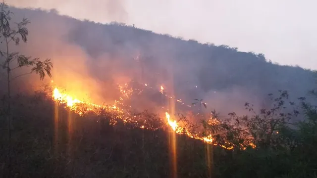 ଓଡ଼ିଶାରେ ଥମୁନି ଜଙ୍ଗଲ ନିଆଁ:  ୧୫୦ଟି ବଡ଼ ବନାଗ୍ନି ଚିହ୍ନଟ