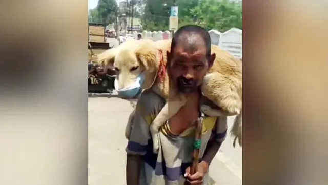 ନିଜେ ନପିନ୍ଧି କୁକୁରକୁ କାହିଁକି ମାସ୍କ ପିନ୍ଧାଇଛନ୍ତି ବୋଲି ପଚାରିବାରୁ ଗରିବ ବ୍ୟକ୍ତି ଜଣକ କହିଲେ ଏଭଳି କଥା...