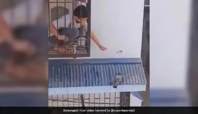 ପାରାକୁ ପାଣି ପିଆଉଥିବା ବେଳେ ଇଣ୍ଟର୍‌ନେଟ୍‌ରେ ଭାଇରାଲ୍‌ ହେଲା କୁନି ବାଳକ, ଛୁଟିଲା ପ୍ରଶଂସାର ସୁଅ