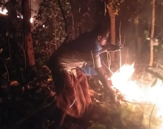 ଜଙ୍ଗଲ ନିଆଁକୁ ଆୟତ୍ତ କଲେ ବନ କର୍ମଚାରୀ ଏବଂ ସ୍ୱେଚ୍ଛାସେବୀ 