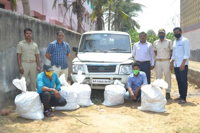 ତ୍ରିସୁଳିଆ ଛକରୁ ୧୨୫ କେଜି ଗଞ୍ଜେଇ ଜବତ; ୨ ଗିରଫ