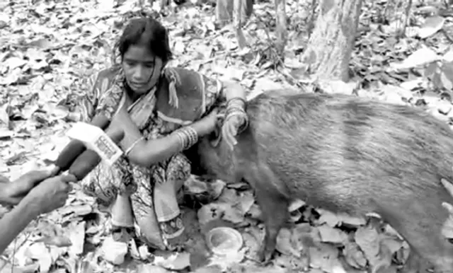 ଢୁର୍‌, କୁନ୍ତଳା ଏବଂ ବନ୍ୟଜନ୍ତୁ ଆଇନ