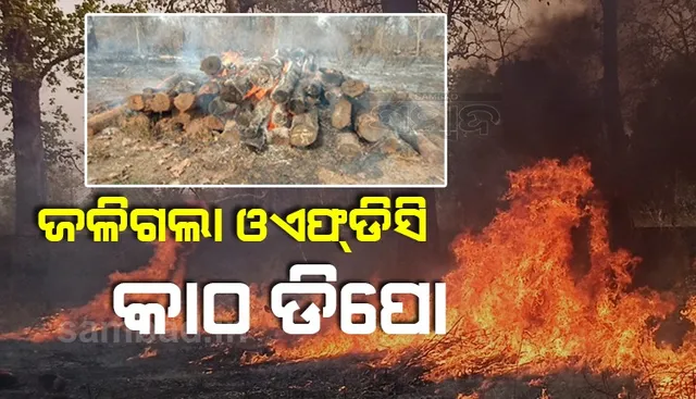 ଓଏଫ୍‌ଡିସି କାଠ ଡିପୋରେ ଭୟାବହ ଅଗ୍ନିକାଣ୍ଡ, ୮ଘଣ୍ଟା ପରିଶ୍ରମ ପରେ ନିୟନ୍ତ୍ରଣକୁ ଆସିଲା ନିଆଁ