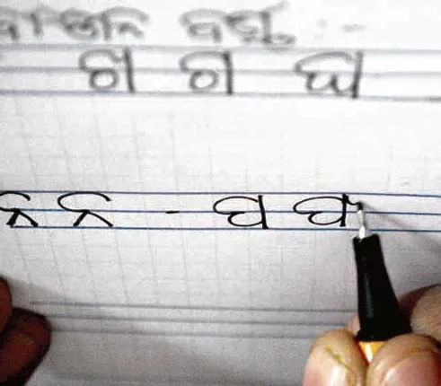 ଆମ ଭାଷା ପାଇଁ ଆମେ ଚିନ୍ତିତ କି?