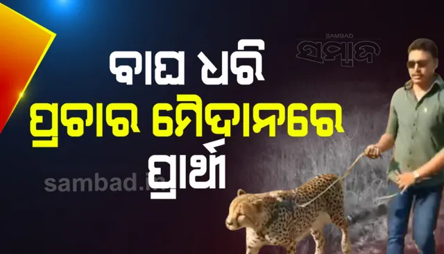 ତେଲଙ୍ଗାନା ଉପନିର୍ବାଚନରେ ୨ ପ୍ରାର୍ଥୀଙ୍କ ବିଚିତ୍ର ପ୍ରଚାର : ଜଣେ ସାଥିରେ ପୋଷା ବାଘ ଧରି ବୁଲୁଛନ୍ତି ତ ଜଣେ ଭୋଟରଙ୍କୁ ଦେଖି ଭୋ ଭୋ ହୋଇ କାନ୍ଦୁଛନ୍ତି