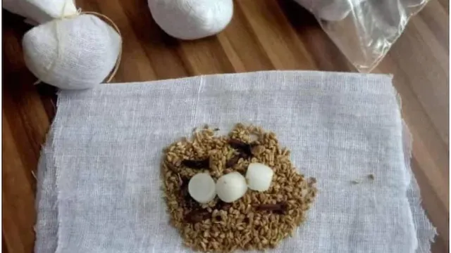 କୋଭିଡ୍‌-୧୯: ଅକ୍ସିଜେନ୍‌ ସ୍ତର ବୃଦ୍ଧି ପାଇଁ କର୍ପୁର ଶୁଙ୍ଘିବା ଖୁବ୍‌ କ୍ଷତିକାରକ ହୋଇପାରେ