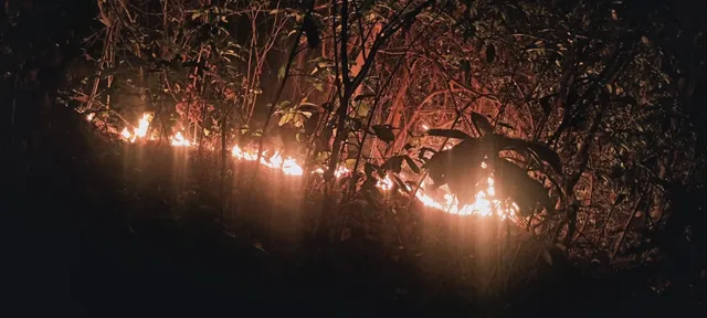 ଲିଭୁନି ଶିମିଳିପାଳ ବନାଗ୍ନି: ୨୧ ଫାୟାର୍‌ ପଏଣ୍ଟ୍‌ ଚିହ୍ନଟ