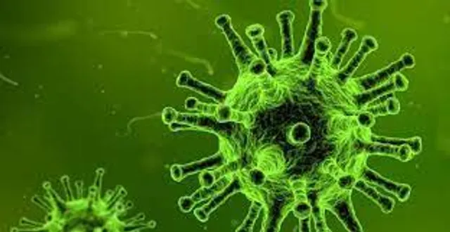 ‌‌‌କୋଭିଡ୍‌ ପ୍ରଶ୍ନୋତ୍ତର-୪