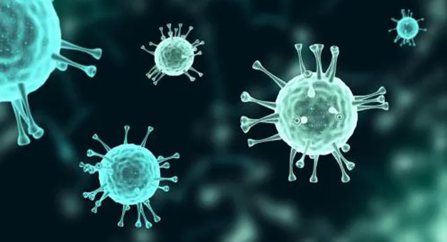 ସିଟି ଭାଲ୍ୟୁ ଓ ଏହାର ଗୁରୁତ୍ବ