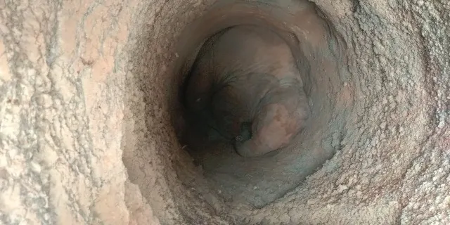 କୂଅରେ ଗଳିପଡ଼ିଲା ହାତୀ ଛୁଆ, ୪ ଘଣ୍ଟାର କସରତ ପରେ ଉଦ୍ଧାର