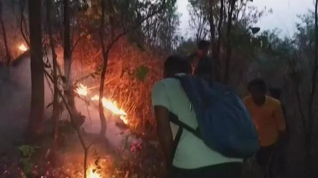 ଟାଙ୍ଗିରି ପାହାଡ଼ରେ ଲାଗିଥିବା ନିଆଁକୁ ଆୟତ୍ତ କଲେ ଯୋଗବ୍ୟାସ ଓ ସାଥୀ