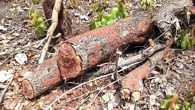 ୩୭ ବର୍ଷ ପରେ ଆସିଲା ରାୟ, ୯ ଅଭିଯୁକ୍ତଙ୍କୁ ୩ବର୍ଷ ଲେଖାଏଁ ସଶ୍ରମ କାରାଦଣ୍ଡାଦେଶ