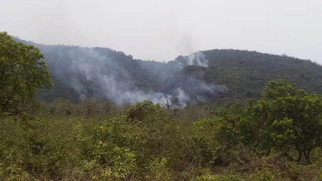 ସାତଲଣ୍ତି ପାହାଡ଼ରେ ନିଆଁ, ୨୦ ଏକର ଜଙ୍ଗଲ ନଷ୍ଟ