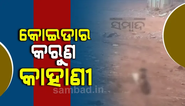 ଭାଇରାଲ୍‌ ହେଲା ହୃଦୟବିଦାରକ ଚିତ୍ର, ଭୋକ ବିକଳରେ ପଡ଼ିଥିବା ଅଇଁଠା ପତ୍ର ଚାଟି ପେଟ ପୂରାଉଛି କୁନି ଶିଶୁ