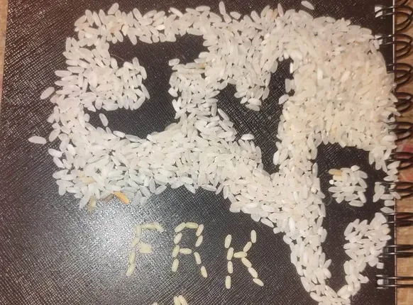 ବିହାର ଚାଖିବ ମାଲକାନଗିରି ଚାଉଳ 