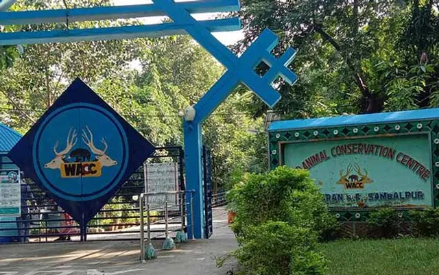 ଡିଅର ପାର୍କରେ ଅଘଟଣ : ମରିଗଲା ଭାଲୁ ‘ଏଲିଜା’