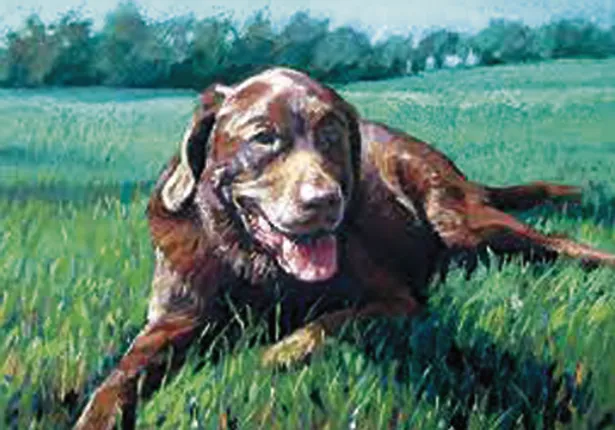 ନୂଆ ସମୟ ନୂଆ କଥା : ପେଣ୍ଟିଂ ପେଟ୍‌ ଏବଂ ବ୍ଲାକ୍‌ହୋଲ୍‌ରୁ ବିଶ୍ବ ସୃ‌ଷ୍ଟି