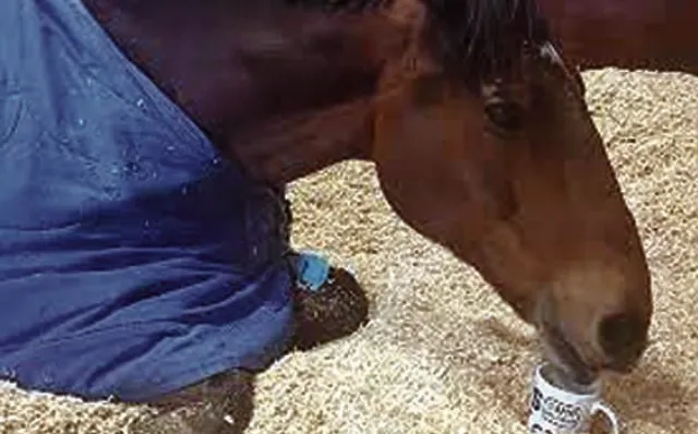 ନୂଆ ସମୟ ନୂଆ କଥା : ଘୋଡ଼ାର ଚା’ ଅଭ୍ୟାସ ଏବଂ ସୁପରଫାଷ୍ଟ୍‌ କମ୍ପ୍ୟୁଟର୍